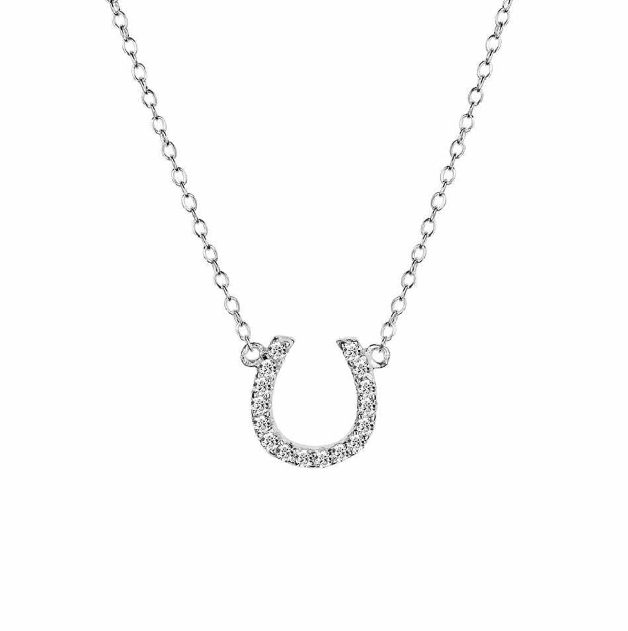Harley Sterling Silver Horseshoe Necklace - Caesar Loves Ava