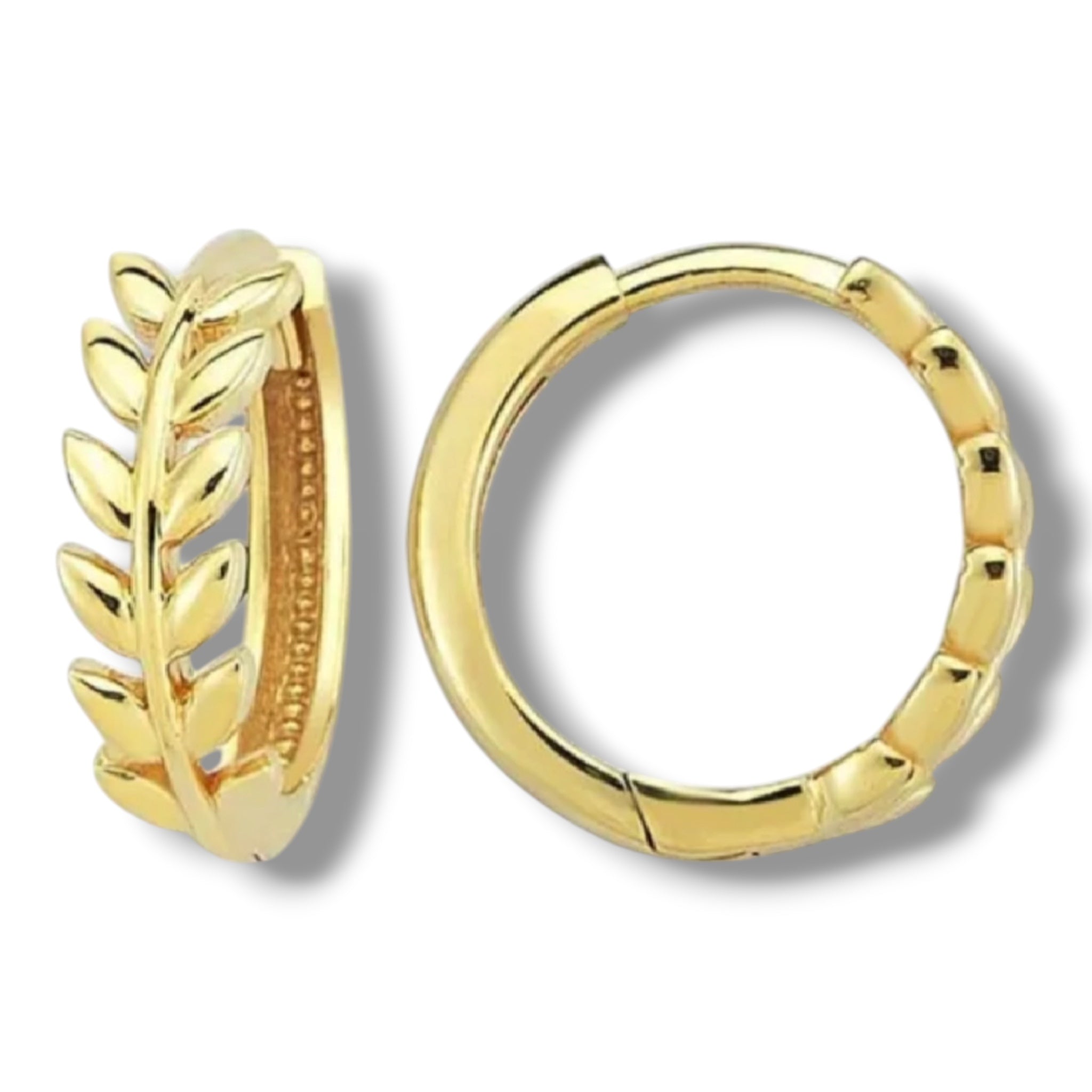 Vireya Solid Gold Leaf Hoops - Caesar Loves Ava