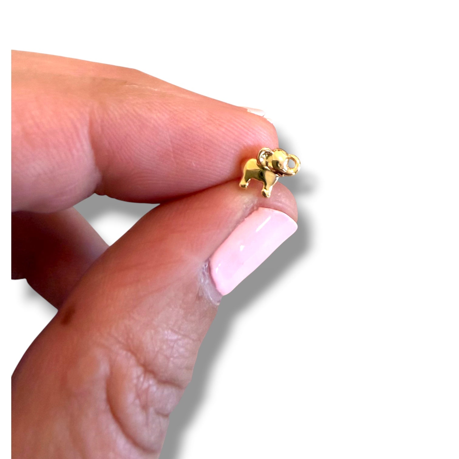 Saida Yellow Gold Elephant Stud Earrings - Caesar Loves Ava